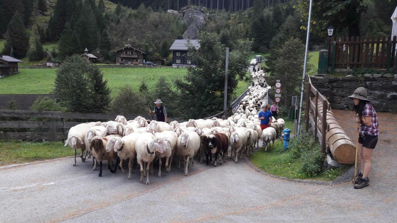 Fewo "Unterm Wald" Stumm Esterno foto
